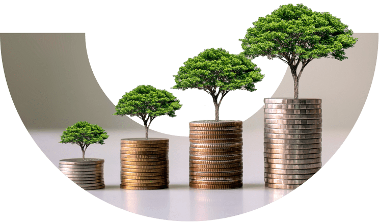 Debt Capital Markets